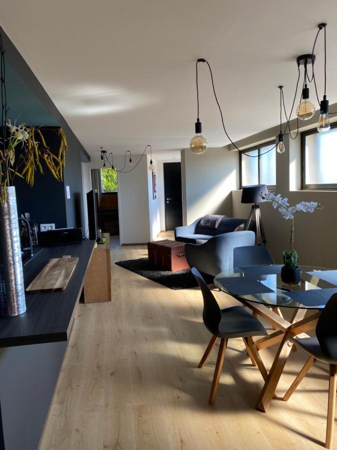 Appartement Atypique Epinal Gare Dış mekan fotoğraf