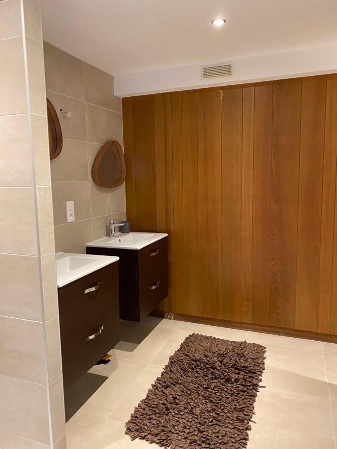 Appartement Atypique Epinal Gare Dış mekan fotoğraf